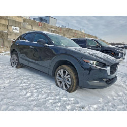 2020 MAZDA CX30 3MVDMBCL3LM139918 96969015