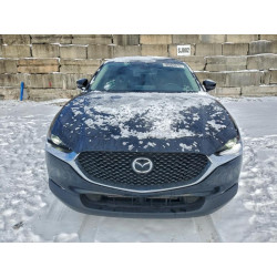 2020 MAZDA CX30 3MVDMBCL3LM139918 96969015