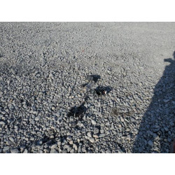 2020 MAZDA CX-5 JM3KFACM0L0801406 93081365