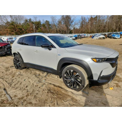 2025 MAZDA CX-50 7MMVAAEW4SN102316 95828345