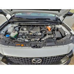 2025 MAZDA CX-50 7MMVAAEW4SN102316 95828345