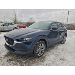 2022 MAZDA CX30 3MVDMBCL3NM444189 93929695