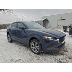 2022 MAZDA CX30 3MVDMBCL3NM444189 93929695