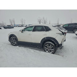 2022 MAZDA CX30 3MVDMBCL3NM403299 96383005