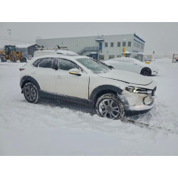 2022 MAZDA CX30 3MVDMBCL3NM403299 96383005