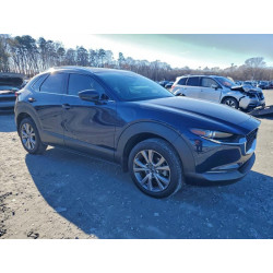 2022 MAZDA CX30 3MVDMBDL8NM403653 96008325