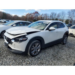 2020 MAZDA CX30 3MVDMBDL0LM135906 92892825