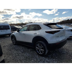 2020 MAZDA CX30 3MVDMBDL0LM135906 92892825