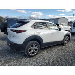2020 MAZDA CX30 3MVDMBDL0LM135906 92892825
