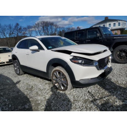 2020 MAZDA CX30 3MVDMBDL0LM135906 92892825
