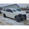 2020 DODGE DURANGO 1C4SDJCT4LC412935 96815945