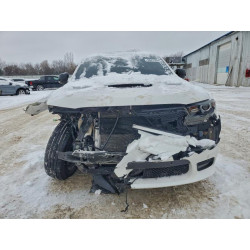 2020 DODGE DURANGO 1C4SDJCT4LC412935 96815945