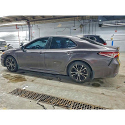 2020 TOYOTA CAMRY 4T1M11AKXLU996890 95704665