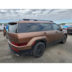 2025 HYUNDAI SANTA FE 5NMP54GL7SH085817 96208455