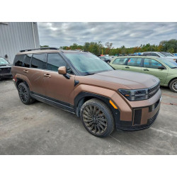 2025 HYUNDAI SANTA FE 5NMP54GL7SH085817 96208455