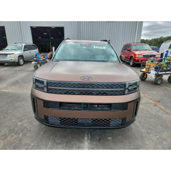 2025 HYUNDAI SANTA FE 5NMP54GL7SH085817 96208455