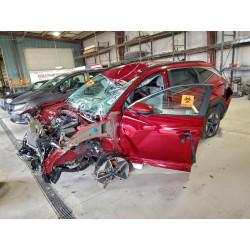 2025 HYUNDAI TUCSON 5NMJBCDE4SH479788 99612415