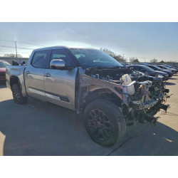 2024 TOYOTA TUNDRA 5TFNA5DB8RX139079 94312485