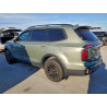 2023 KIA TELLURIDE 5XYP5DGC5PG358481 96135565
