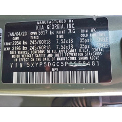 2023 KIA TELLURIDE 5XYP5DGC5PG358481 96135565