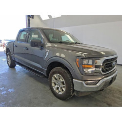 2023 FORD F-150 1FTFW1E84PKE11011 97761615