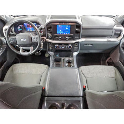 2023 FORD F-150 1FTFW1E84PKE11011 97761615