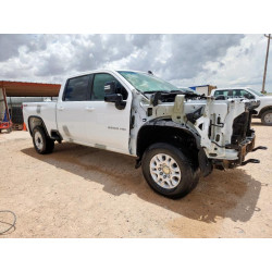 2021 CHEVROLET ALL Models 1GC1YNEY6MF311704 63073235