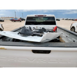 2021 CHEVROLET ALL Models 1GC1YNEY6MF311704 63073235