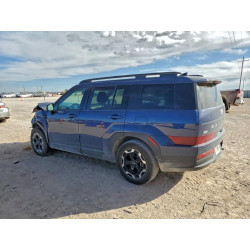 2025 HYUNDAI SANTA FE 5NMP24GL4SH114490 94385985