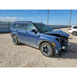 2025 HYUNDAI SANTA FE 5NMP24GL4SH114490 94385985