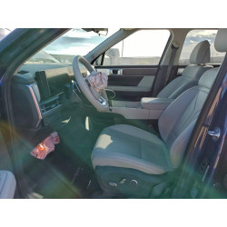 2025 HYUNDAI SANTA FE 5NMP24GL4SH114490 94385985