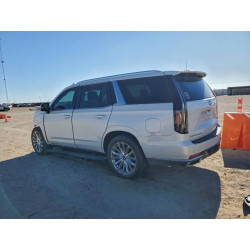 2023 CADILLAC ESCALADE 1GYS4CKL2PR447905 99448795