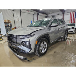 2025 HYUNDAI TUCSON 5NMJA3DE5SH555182 96782475