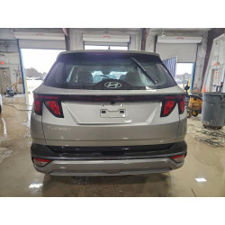 2025 HYUNDAI TUCSON 5NMJA3DE5SH555182 96782475