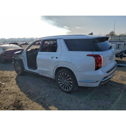 2023 HYUNDAI PALISADE KM8R7DGE5PU516851 98888325