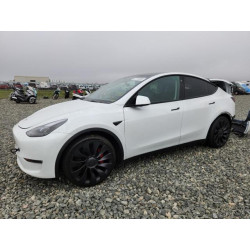 2022 TESLA MODEL Y 7SAYGDEF4NF487945 90706985