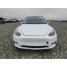 2022 TESLA MODEL Y 7SAYGDEF4NF487945 90706985