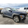 2025 HYUNDAI KONA KM8HBCAB8SU266291 92275245