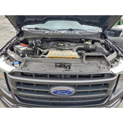 2021 FORD F-150 1FTEW1EP2MFA63099 94266875