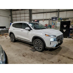 2022 HYUNDAI SANTA FE KM8S5DA16NU021780 98721475
