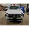 2022 HYUNDAI SANTA FE KM8S5DA16NU021780 98721475