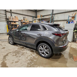 2023 MAZDA CX30 3MVDMBCM4PM536049 99633925