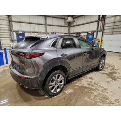 2023 MAZDA CX30 3MVDMBCM4PM536049 99633925