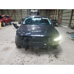 2025 HYUNDAI ELANTRA LU KMHLN4DG6SU919652 87295005