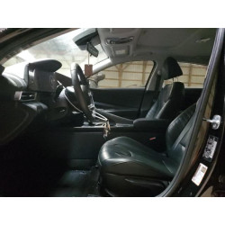 2025 HYUNDAI ELANTRA LU KMHLN4DG6SU919652 87295005