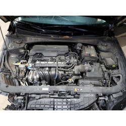 2025 HYUNDAI ELANTRA LU KMHLN4DG6SU919652 87295005