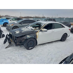 2023 HYUNDAI ELANTRA KMHLN4AG6PU630038 98636345