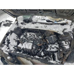 2023 HYUNDAI ELANTRA KMHLN4AG6PU630038 98636345