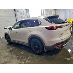 2020 MAZDA CX-9 JM3TCBEY9L0400522 98701965