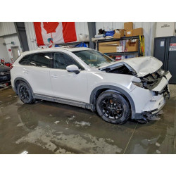 2020 MAZDA CX-9 JM3TCBEY9L0400522 98701965